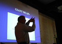 lecture room Messieri